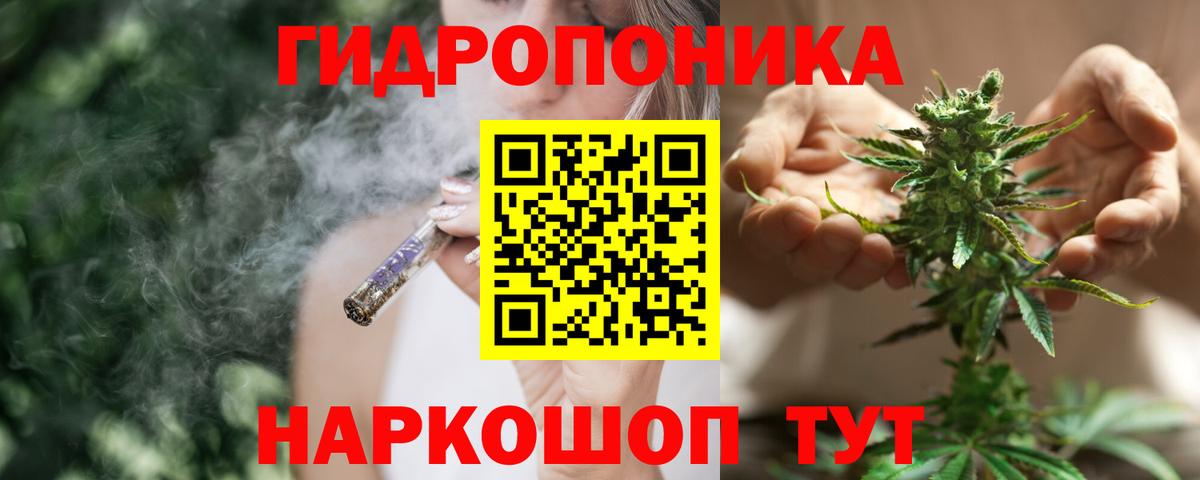 Каннабис сатива  Бошки марихуана план  Бошки марихуана VHQ  Вход с VPN  Лысьва 